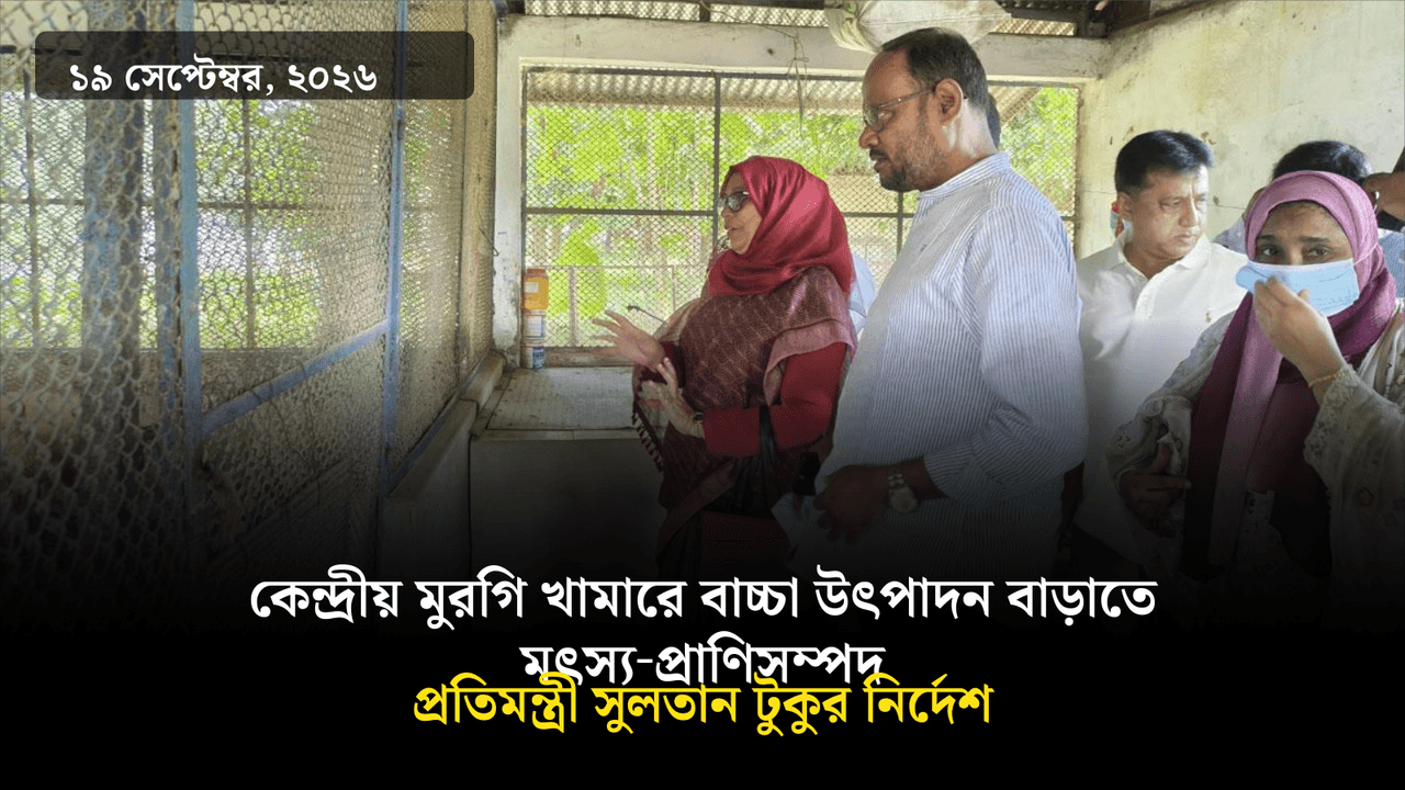 কেন্দ্রীয় মুরগি খামারে বাচ্চা উৎপাদন বাড়াতে মৎস্য‑প্রাণিসম্পদ প্রতিমন্ত্রী সুলতান টুকুর নির্দেশ