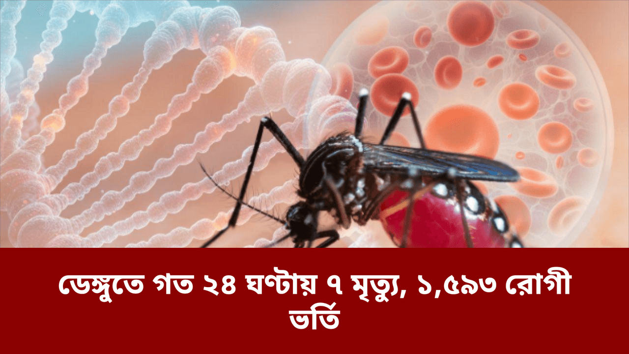 ডেঙ্গুতে গত ২৪ ঘণ্টায় ৭ মৃত্যু, ১,৫৯৩ রোগী ভর্তি