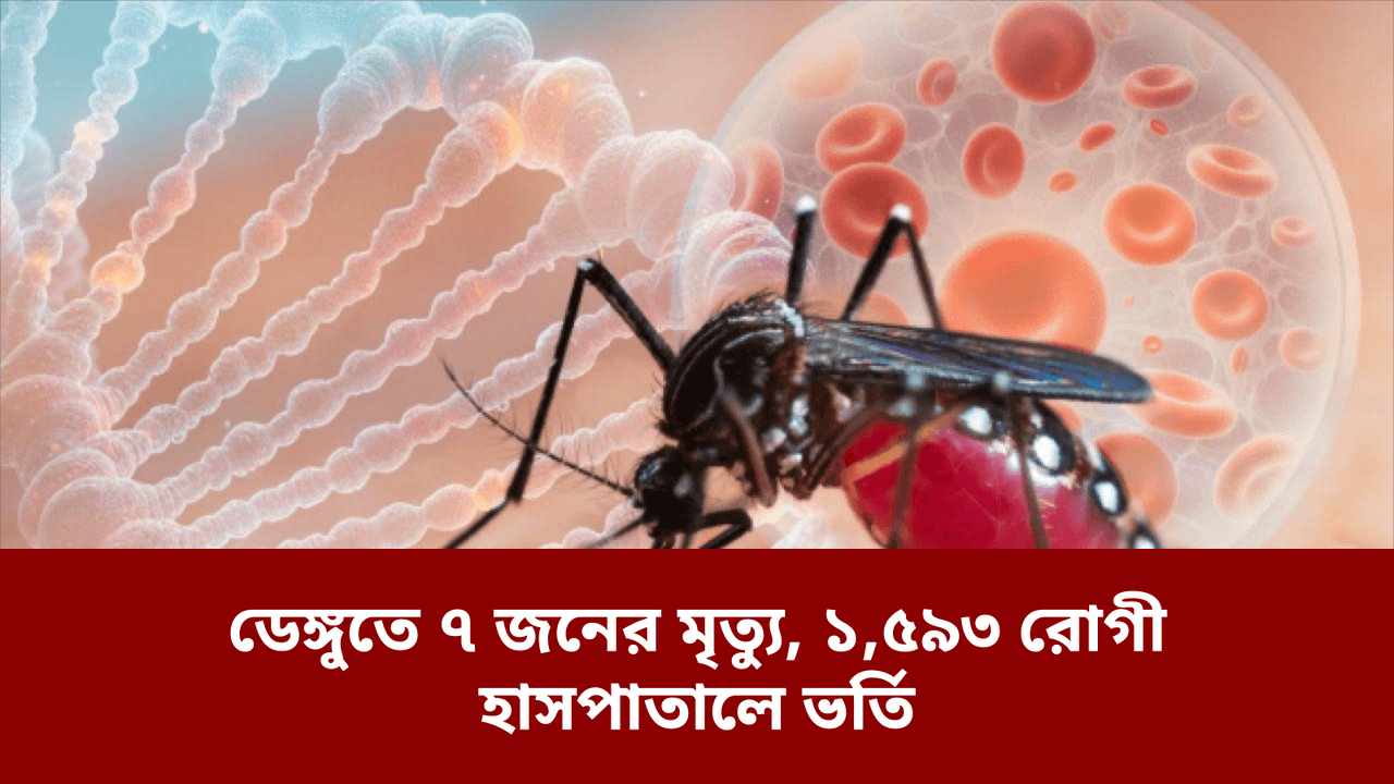 ডেঙ্গুতে ৭ জনের মৃত্যু, ১,৫৯৩ রোগী হাসপাতালে ভর্তি