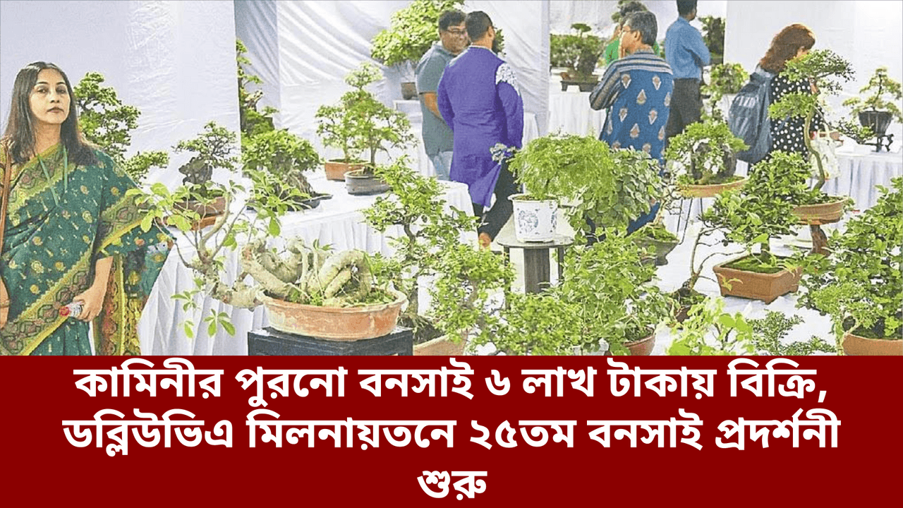 কামিনীর পুরনো বনসাই ৬ লাখ টাকায় বিক্রি, ডব্লিউভিএ মিলনায়তনে ২৫তম বনসাই প্রদর্শনী শুরু